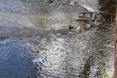 IMG_0419
