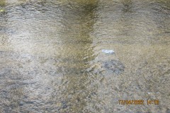 IMG_0420